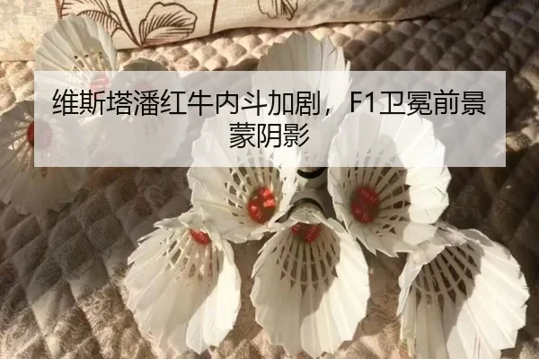 维斯塔潘红牛内斗加剧，F1卫冕前景蒙阴影